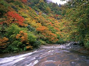 【公式情報】東横INN千葉幕張｜快適・便利なビジネスホテルの魅力とポイント