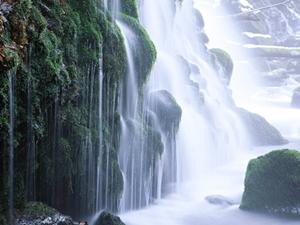 【公式ガイド】東横INN西武池袋線東久留米駅西口の魅力と詳細情報