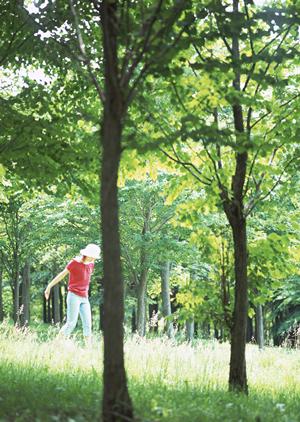 京都にてレンタル自転車