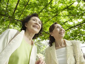 株主優待を活用してANAの航空券をお得にゲットする方法完全ガイド
