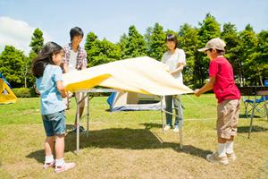 観光地巡りには観光タクシーが最適です