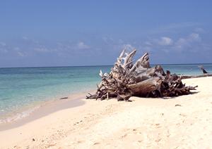 【公式情報に基づく】東横INN大阪通天閣前の魅力と詳細ガイド
