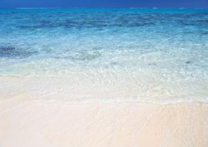 富士山についてのギフトショップについてのガイドのホームページ