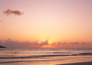 ホテル白馬はスキー客に最適なホテルです