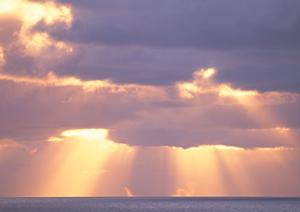 東横INN春日部駅西口：快適な滞在を提供する埼玉県春日部市のビジネスホテル