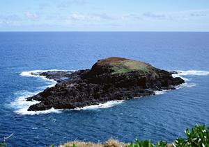 上越の1千台以上の遊技台があるパチンコ