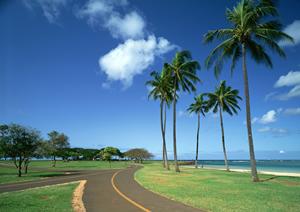 伊豆長岡温泉の宿泊先についての話題