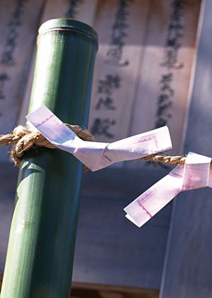 小豆島観光に利用できるフェリー