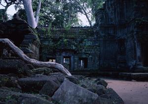 家族で楽しむ石垣島アクティビティ！子供も安心の自然体験プラン完全ガイド