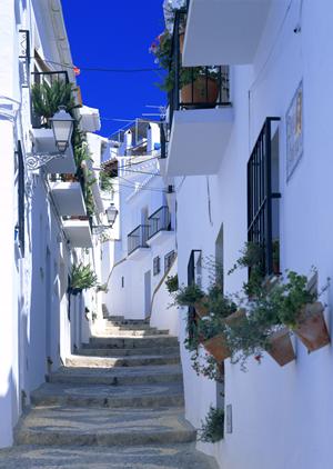 フェリー小豆島で優雅な旅行を楽しもう