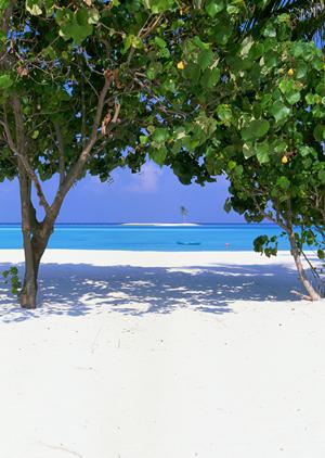 韓国ソウル永登浦にある東横INNホテルの魅力と宿泊ガイド