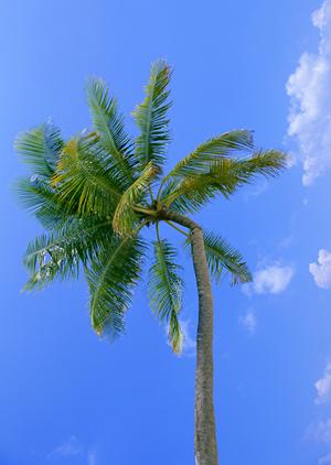 宮城県仙台市の快適な滞在を実現する東横INN仙台東口1号館：アクセス、特徴、予約情報を徹底解説