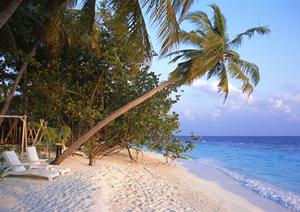 横浜で快適なビジネス＆観光滞在を実現！東横イン横浜関内の魅力と便利な情報徹底紹介