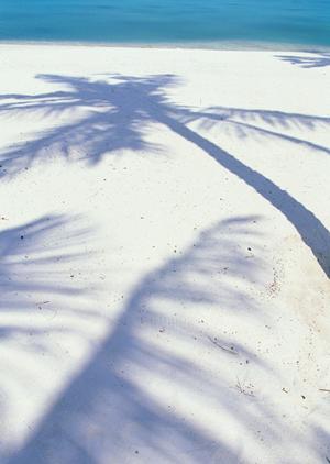 愛知県豊田市駅前に位置する「東横INN豊田市駅前」の詳細ガイドと宿泊メリット