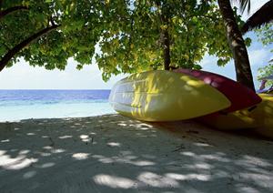 友人とハワイ旅行を企画しよう