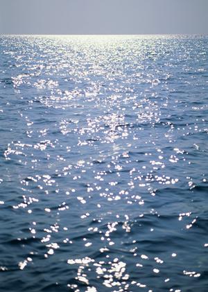 【公式情報から徹底解説】東横INN品川駅高輪口の魅力と特徴を詳しく解説