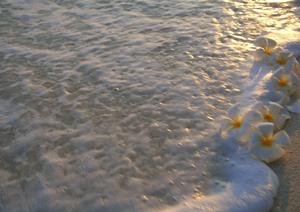 家族で金沢の金箔貼り体験ができる