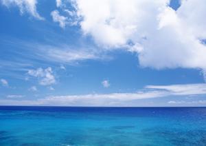 大阪のビジネスホテルを徹底解説：東横INN新大阪中央口新館の魅力と利用ポイント