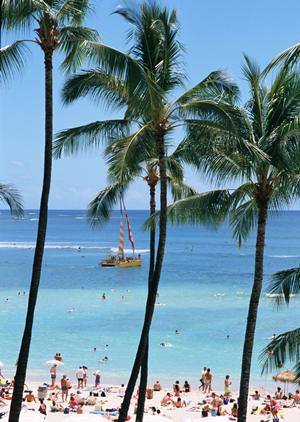 家族で楽しむ！手軽に満喫できる天草の自然とアクティビティ完全ガイド